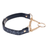 Cougar Day Collar